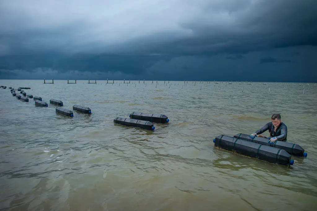 Farm worker tending floating aquaculture cages under a stormy sky